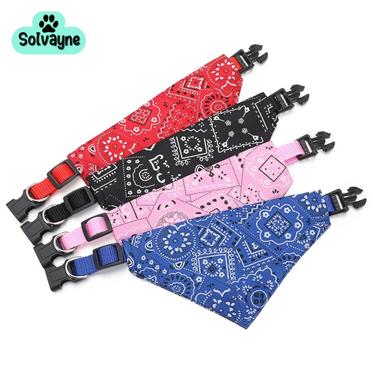 Bandanna Fashion Collar