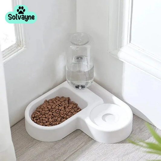 Luxurious Drinking & Feeding Basin