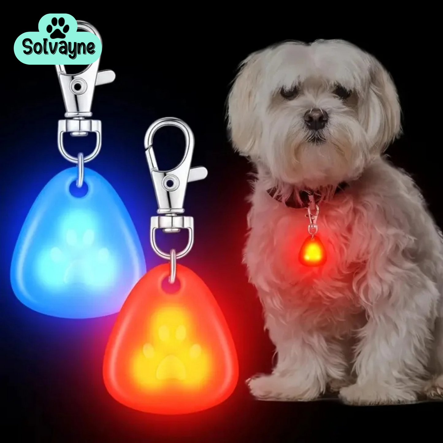 Pet Collar Light Pendant